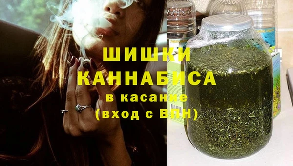 мдпв Горнозаводск