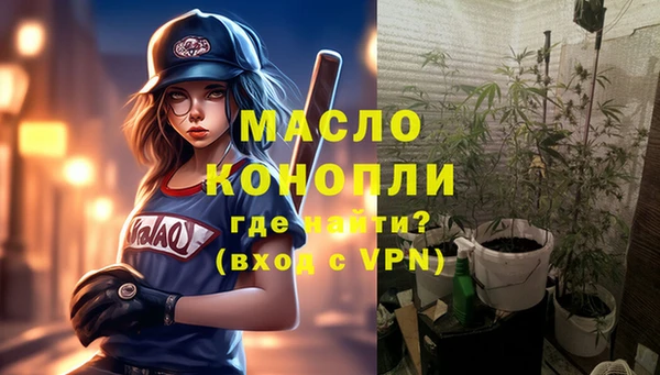 дживик Горняк