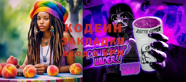 мдпв Горнозаводск