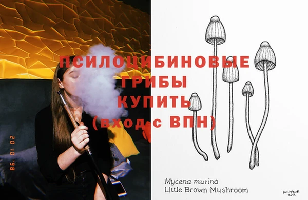 мдпв Горнозаводск