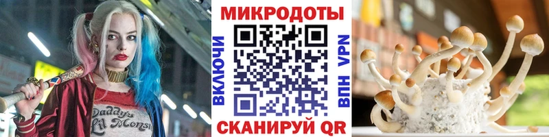 Купить  Зубцов  Галлюциногенные грибы GOLDEN TEACHER 